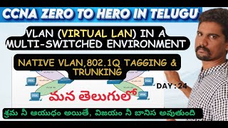 VLAN in a MultiSwitched environment  8021Q Tagging  Trunking Native VLAN vlan ccna cisco [upl. by Buote]