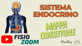 Il Sistema Endocrino FisioMap [upl. by Aisyle]