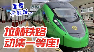 動車上西藏！拉林鐵路全新動車組一等座全體驗 [upl. by Sinnej]