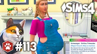 Hoch Schwanger 🤰 Kommt das Baby  Lets Play Die Sims 4 Hunde amp Katzen 113 [upl. by Eiralih604]