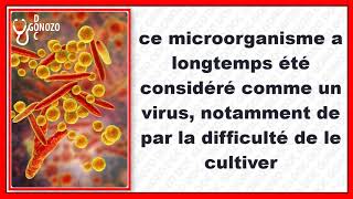 Angine à Mycoplasma pneumoniae [upl. by Nipahc]