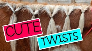 How to Braid Your Horses Mane  Cute Twists [upl. by Erdnua]