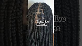 Knotless Braids Hairstyle [upl. by Anesor490]