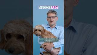 Was ist ein Therapiehund  Medizin ABC  Asklepios shorts [upl. by Yecaw]