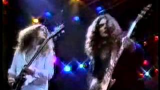 Lynyrd Skynyrd  Free Bird 1976 [upl. by Gussi802]