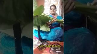 কচু চিংড়িcolocasia leavescookinglive villagecooking shortsfeed minivlog foodie livecooking [upl. by Neyrb9]