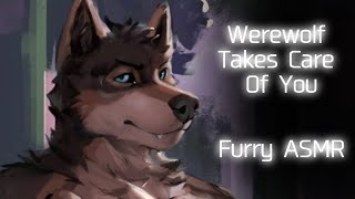 Furry ASMR Werewolf Takes Care Of You Kissing Petting Snuggles [upl. by Drona961]