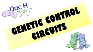 U6L1 Introduction to genetic circuits [upl. by Ennyrb]