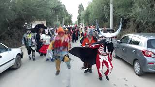 Carnaval en TARIJA BOLIVIA comparsa la caprichosa5 [upl. by Htor]