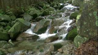 HD video of flowing water Live wallpaper Waterfall motion loop 1080 [upl. by Copp]