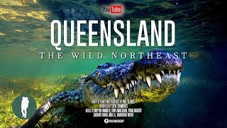 Australia’s Wild Northeast  Wildlife Documentary 4K  Queensland Animals and Landscapes [upl. by Ehttam]