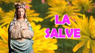 Salve Regina I Salve Regina mater misericordiae [upl. by Deedee]