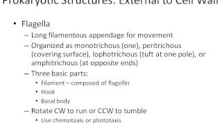 Microbiology chapter 4 part 1 [upl. by Klecka]