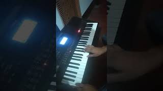 Firey EshoMetricalintro piano Cover [upl. by Hands]