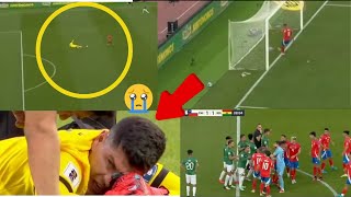 Is This 2024s Most Controversial Goal Chile Striker Sparks Mass Brawl [upl. by Strickland]