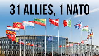 31 Allies 1 NATO [upl. by Luella669]