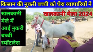 किसान की बच्ची को व्यापारियों ने केसे घेरा नुकरी बच्ची खलकानी पशु मेला khalkani horse fair [upl. by Allveta]