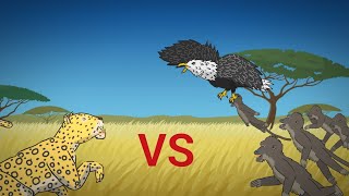 LEOPARD VS BABOON VS EAGLE ANIMATION [upl. by Zavala]