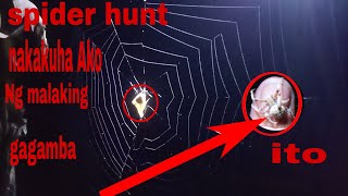 spider huntquotquotnight hunting nakakuha Ako Ng malaking gagamba [upl. by Baum43]