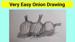 how to draw a onion  Easy onion drawing 3 onions pic drawing [upl. by Dotson966]