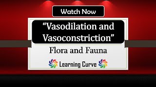 Vasodilation and Vasoconstriction Thermoregulation  Biology  GCSE  In Hindi  Explained [upl. by Nellir736]