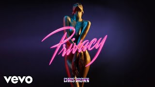 Chris Brown  Privacy Audio [upl. by Ier]