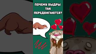 Выдра и лунная походка🦦🌜 reggae animals nature top mrbeast t2x2 tiktok тренды животные мем [upl. by Kilmarx770]