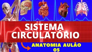 ANATOMIA DO SISTEMA CIRCULATÓRIO ANATOMIA HUMANA  CORAÇÃO ARTÉRIAS E VEIAS [upl. by Dehsar424]