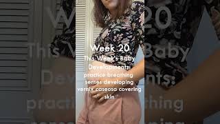 20 weeks pregnant baby development bellyprogression 20weekspregnant [upl. by Madaras832]