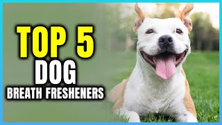 Top 5 Best Dog Breath Fresheners  Extreme Reviewer [upl. by Harahs]