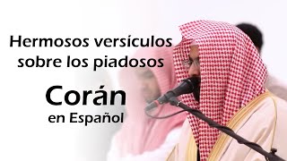 Hermosos versículos sobre los piadosos  Hermosa recitación del Corán  Corán en Español [upl. by Ahsienad]