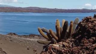 Galápagos Patrimonio Natural de la Humanidad [upl. by Yevi383]