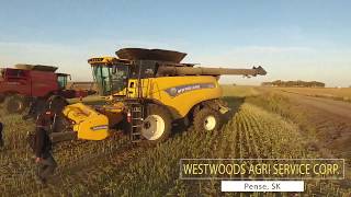 🇨🇦Демонстрация комбайнов New Holland CX880 amp CR890 Саскачеван Канада глазами украинца [upl. by Delgado]