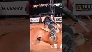 Que seguridad de esta dama caballos horse horsesports rodeo lanesendhorseraces [upl. by Annahgiel]