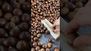 Henry Chestnut Has The Best Taste And Texture tasty yummy foodlover [upl. by Ahsimrac]