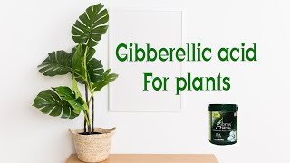 gibberellicacid gibberellinhormone GA hormones Gibberellic acid for plants [upl. by Macmahon957]