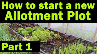 Start a new Allotment Plot  Where to start  Allotment Garden  Things you need to know  Part1 [upl. by Kimmie701]