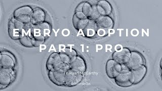 Embryo Adoption Part 1 Pro with Fr Ryan McCarthy [upl. by Barnaba246]