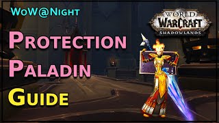 Protection Paladin Guide Patch 91 [upl. by Mcneely719]