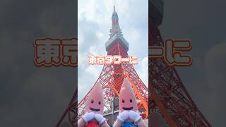 東京タワーをもっと楽しむ方法知ってる？東京タワー tokyotower ノッポン兄弟 [upl. by Valerlan]