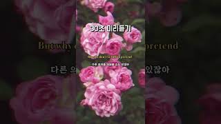 장미의 이름  Of Monsters and Men  Wild Roses [upl. by Havelock]