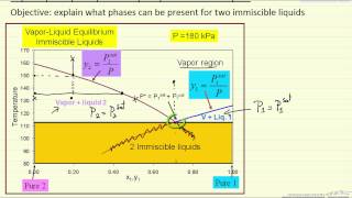 VLLE for Immiscible Liquids [upl. by Ireva750]