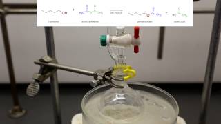 How to make Banana Mushroom Orange and Pear Flavoring Acetate Esters [upl. by Linneman412]