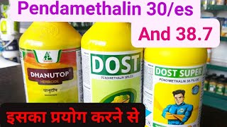 Pendimethalin 30ec and 387cs यह दवा खेत में घास नही उगने देता हैं एव A To Z जानकारी bholuraj [upl. by Riesman976]