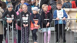 Pferscherlauf in Brunn am Gebirge [upl. by Arvie]