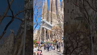 Admiring Gaudis work  Basílica de la Sagrada Família spain español barcelona spanishcity god [upl. by Sirac401]