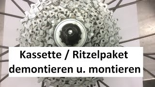 Shimano Kassette  Ritzelpaket wechseln  demontieren und montieren [upl. by Ellehcen]