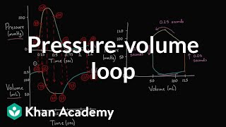 Drawing a pressurevolume loop  Circulatory system physiology  NCLEXRN  Khan Academy [upl. by Aremahs]