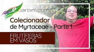 Visitando um Colecionador de Myrtaceae  Parte 1  Frutíferas em Vasos  Sítio Ejardim [upl. by Semadar]