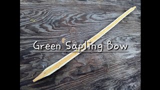 Green Osage Sapling Bow [upl. by Nilrem]